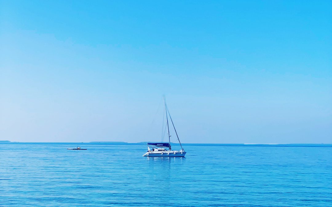 Income Tax Regulation (English translation has not been published yet)