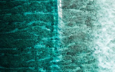 Maldives Tourism Act