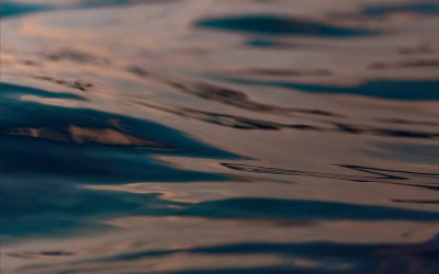 Income Tax Act (English translation)