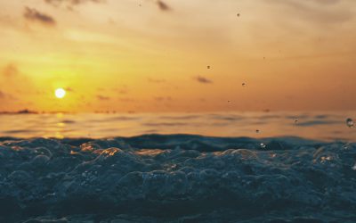 Regulations (Tourism related)